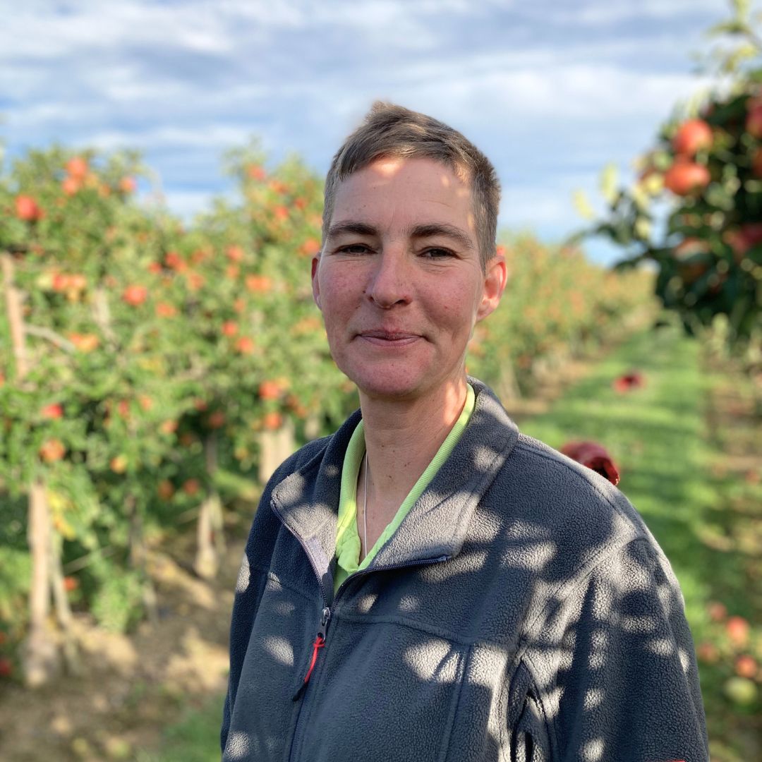 Äpfel | Heimische Landwirtschaft